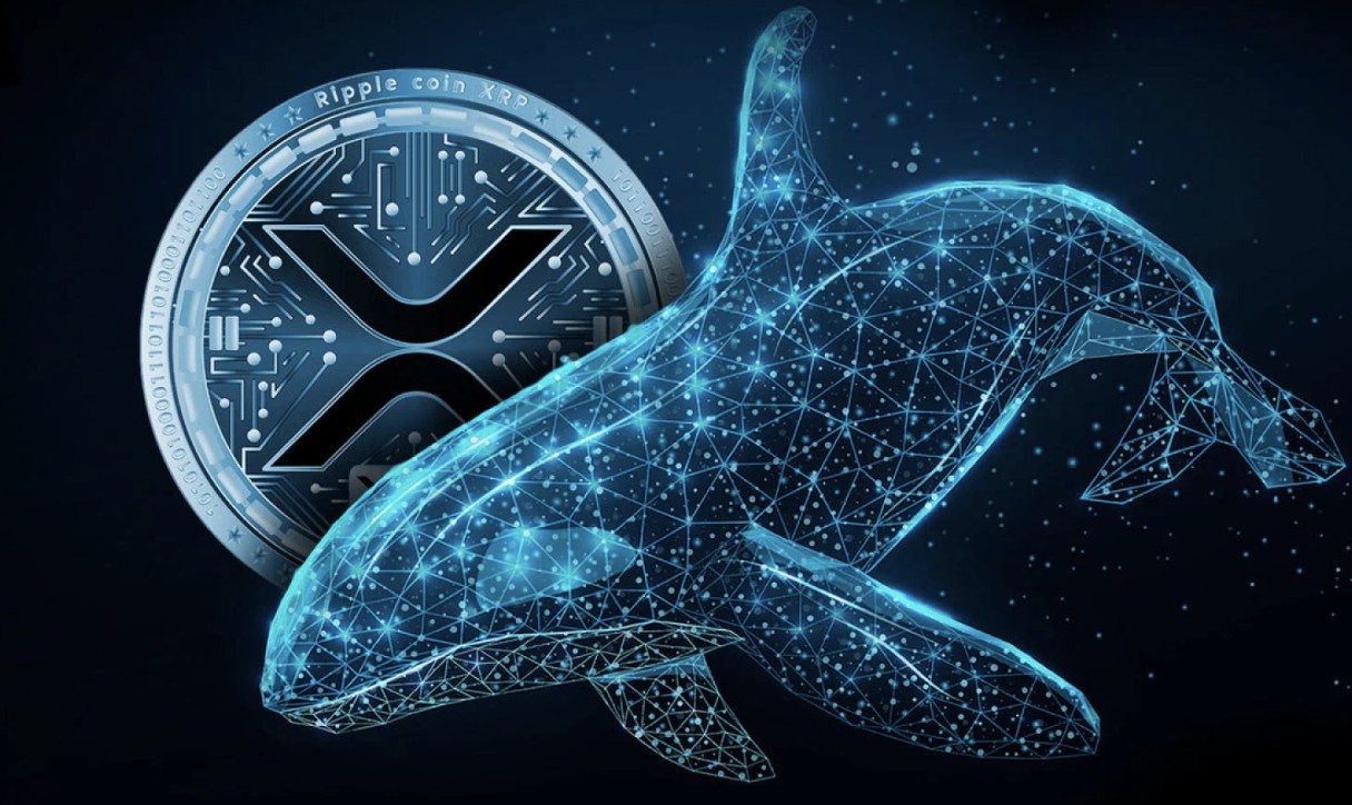 Whale Crypto Borong XRP Senilai $3,6 Miliar di Tengah Sinyal Bullish yang Kembali Muncul