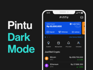 Dark Mode: Fitur Terbaru Pintu yang Mendukung Kenyamanan Saat Investasi