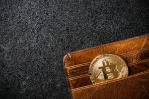 Jenis Dompet Crypto, Penjelasan Singkat