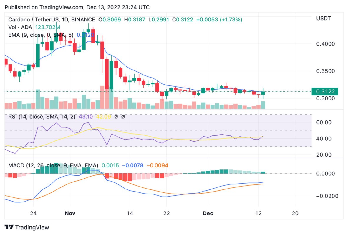 Prediksi Harga Cardano (ADA) 2023, 2025, 2030: Bisa Capai $10 Dan ...