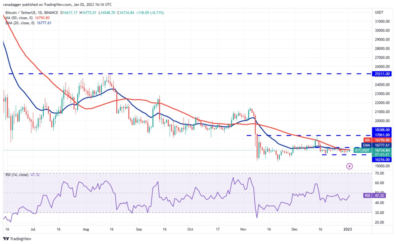 Kenapa Harga Bitcoin (BTC) Naik Hari Ini? Berikut 3 Faktor Utamanya ...