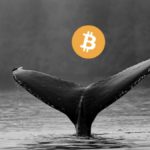Harga Bitcoin Naik 27%, Para Whale Masih Ogah Jual Kepemilikan Bitcoin-nya! Nah Loh, Ada Apa?