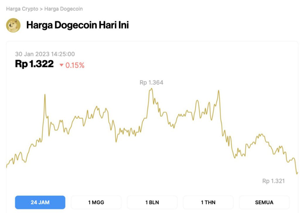 Harga DOGE Koreksi 0,15% dalam 24 Jam
