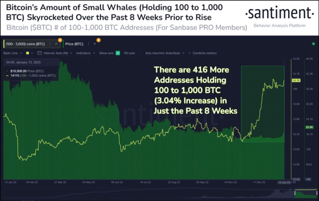 Jumlah Address Bitcoin Whale