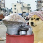 Tergila-gila DOGE! 3 Juta Warga India Miliki Dogecoin, Banyak yang Cuan!