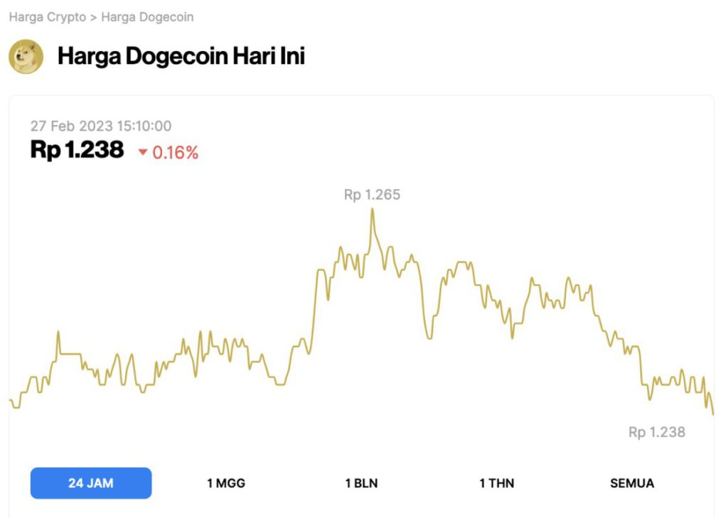 Harga DOGE Koreksi 0,16% dalam 24 Jam