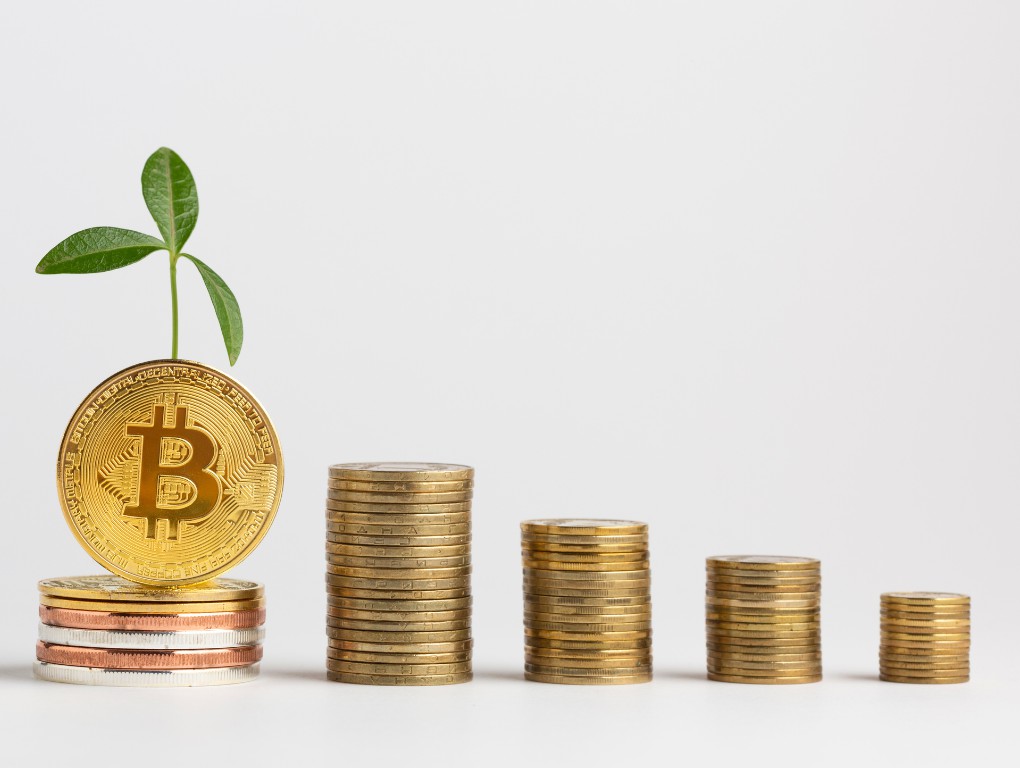 Modal Investasi Bitcoin dan Crypto