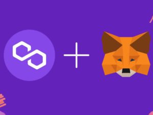 6 Cara Menambahkan Jaringan Polygon di MetaMask, Mudah!