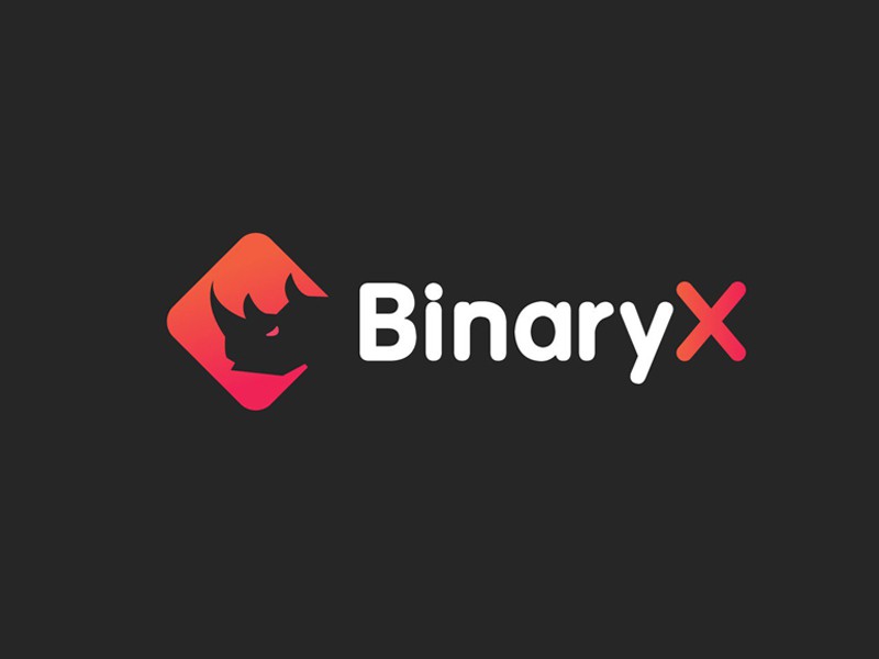 BinaryX (BNX)