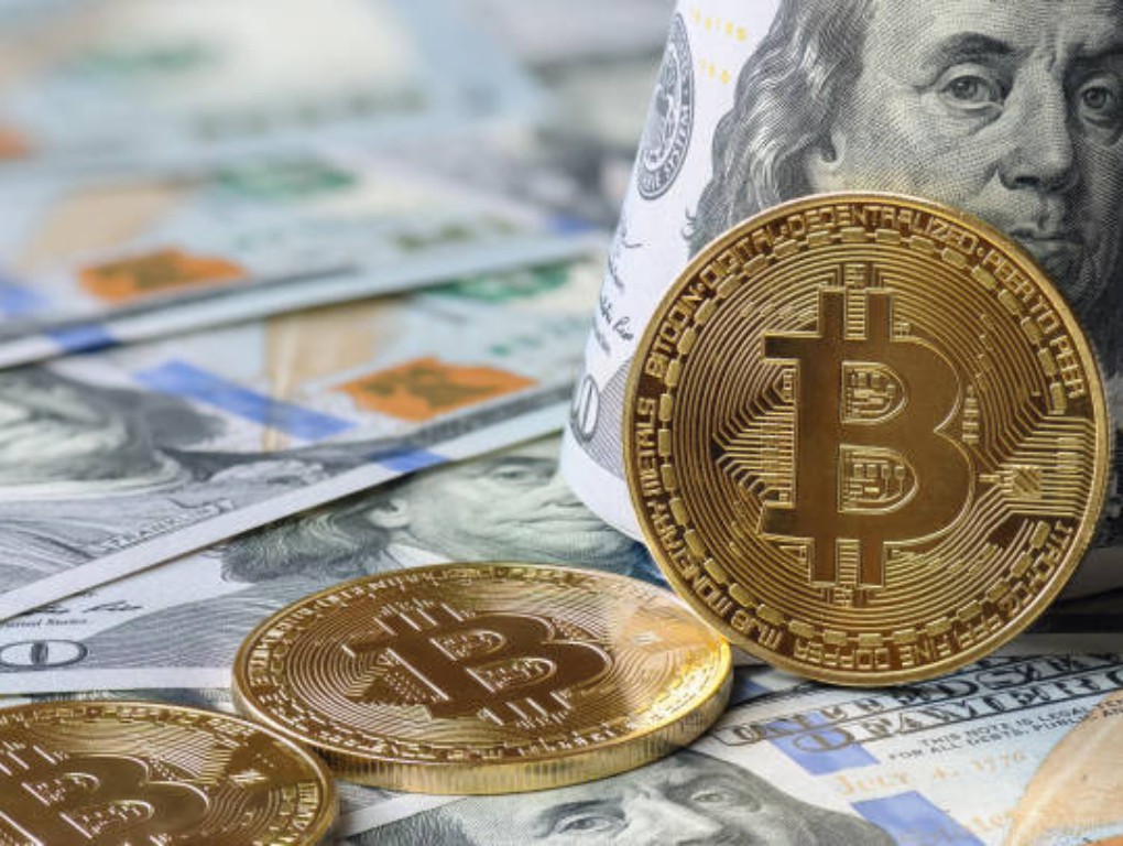 nilai dan pasar dolar vs bitcoin