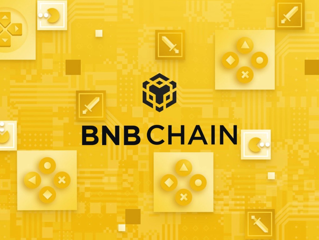 bnb chain ecosystem token