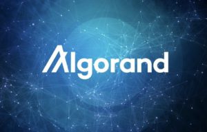 Algorand Luncurkan LiquidAuth, Solusi Desentralisasi untuk Keamanan Kripto!