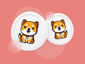 Terungkap! Rahasia di Balik Fenomena Baby Doge Coin