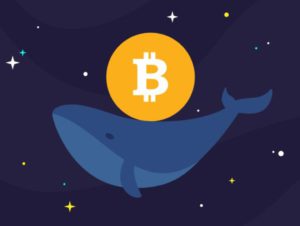 Ngamuk! Akumulasi Whale Bitcoin Meningkat, September 2024 Penuh Event Penting