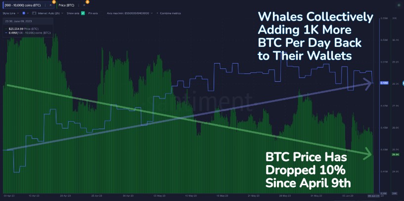 bitcoin whale juni 2023