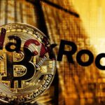 ceo blackrock bitcoin