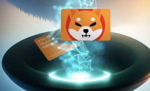 Kabar Gembira! Cold Wallet Edisi Terbatas Shiba Inu Siap Meluncur Minggu Depan