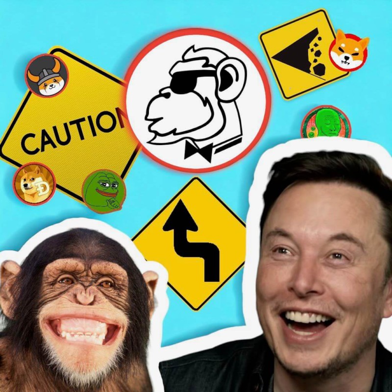 Monkeys Token: Lebih dari sekadar Meme