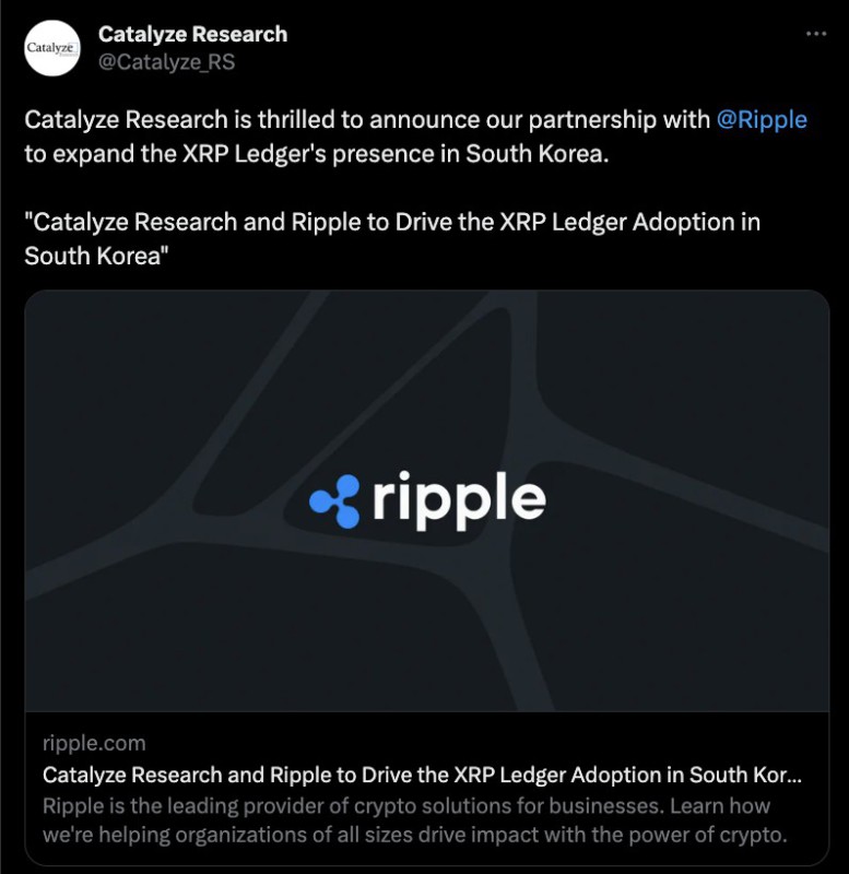 ripple dan catalyze research