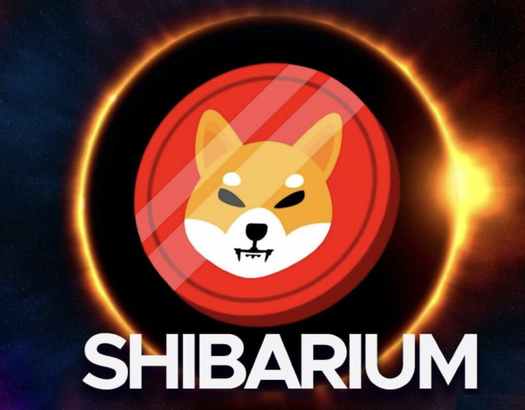 shibarium puppynet