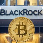 update blackrock bitcoin etf