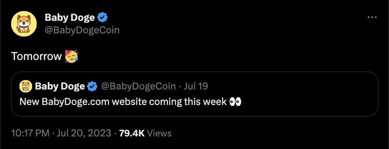 website baru baby doge coin