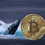 whale bitcoin