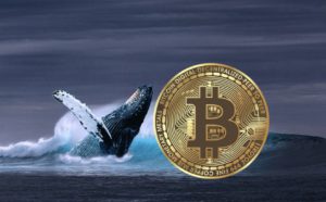 Bitcoin Whale Borong 71.000 BTC di Tengah Penurunan, Rebound Segera Terjadi? (15/7/24)