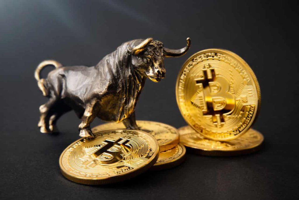 market crypto bull run