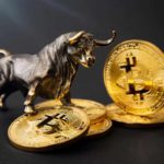 market crypto bull run