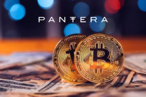 Pantera Capital Raup Keuntungan 66% di Q1 2024, Solana Jadi Pendorong Utama