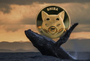 Whale Shiba Inu Tarik 220 Miliar SHIB Senilai Rp75 Miliar dari Binance: Apa Artinya untuk Pasar?