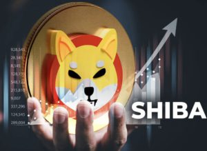 Shibarium Menghadapi Badai: Mengapa Harga Token SHIB, BONE, dan LEASH Melemah?