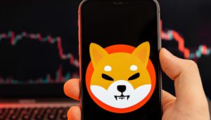 Shiba Inu Membakar Token dalam Jumlah Besar: Apa Dampaknya pada Ekosistem SHIB?