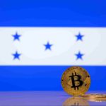sikap bank sentral honduras terhadap bitcoin