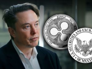 Elon Musk Terjebak dalam Badai XRP: Dari Upaya Anti-Scam hingga Kerjasama dengan SpaceX!