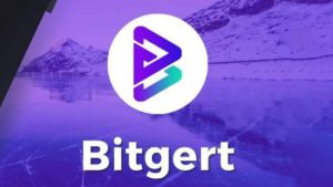 Mengenal Bitgert (BRISE): Koin Crypto yang Buat Heboh Dunia Keuangan!