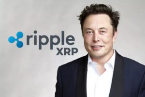 XRP dan DOGE Bersemangat dengan Pesan Elon Musk di X, Ini Katanya!