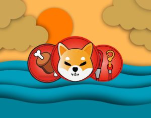 Memecoin Shiba Inu (SHIB) Luncurkan Fitur On-Ramp dengan Visa dan Mastercard!