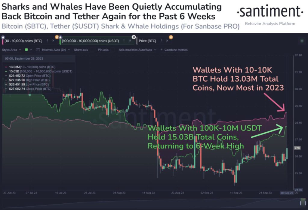 akumulasi whale bitcoin