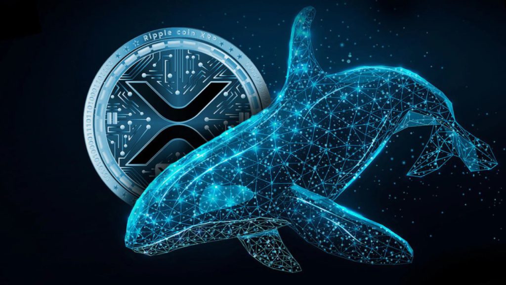 whale crypto xrp