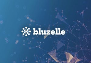 Harga Bluzelle Crypto Terjun Bebas 40% Hari Ini (19/12/24): Apa yang Terjadi?