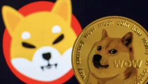 Shiba Inu vs Dogecoin: Mana yang Lebih Menguntungkan di Tahun 2024?