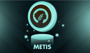 Top 5 Token MetisDAO Ecosystem di 2024: MAIA, HERMES, Tethys