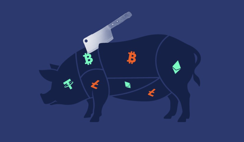 pig crypto scam