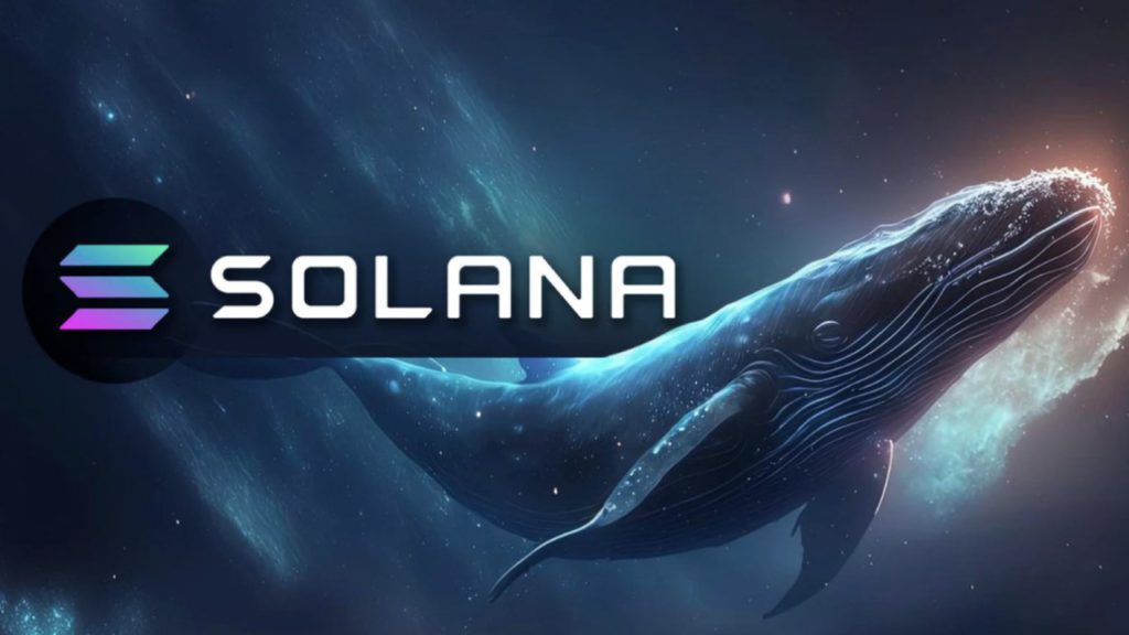 whale solana