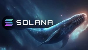 Seorang Whale Borong Solana Sebesar Rp69 Miliar, Harga SOL Langsung Melonjak!