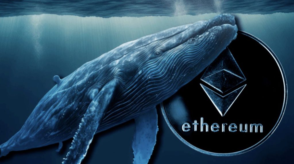 whale ethereum