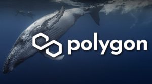 Polygon (POL) Anjlok 11%! Uji Rp15.152, Support Kritis atau Awal Koreksi Lebih Dalam?