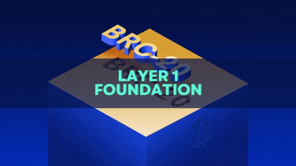 layer 1 foundation